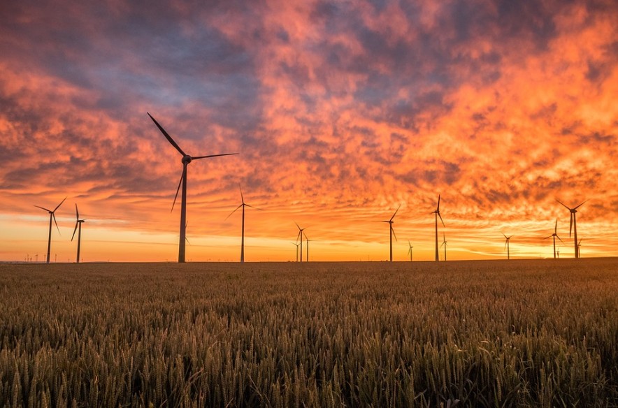 Are NFTs Harmful to the Environment? The Energy Efficiency Debate